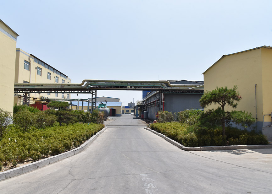 青州市亦點農業科技有限公司介紹